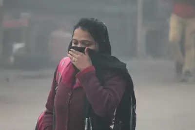 Air quality in UP nosedives, Ghaziabad records the worst